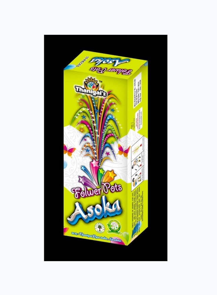 Flower Pot Asoka