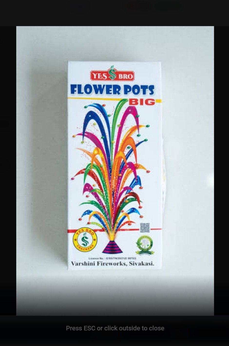 Flower Pot Big